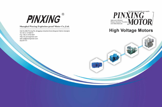 Shanghai Pinxing Explosion-Profper Motor Co., Ltd.